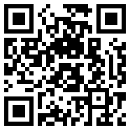 qq2011绿色版
