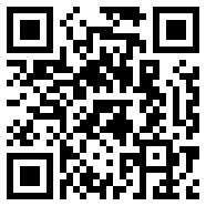 中国网络经纪人