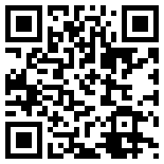 丛林之狐2中文版