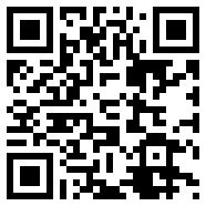 CHAT GPT 国内版