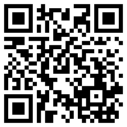 疯狂窃贼2隐身大师