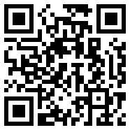 公斤银币
