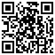 divirtual汉化安卓版