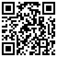 flash播放器下载 免费战略版