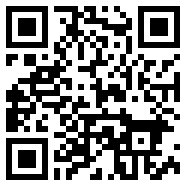 轻量版app