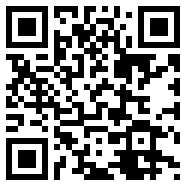 google voice