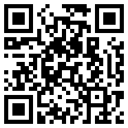 333ae.com