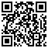 google voice