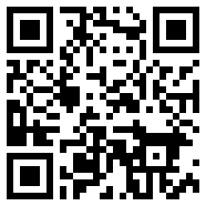 怒火街头2国语下载